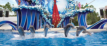SeaWorld Orlando dolphin show